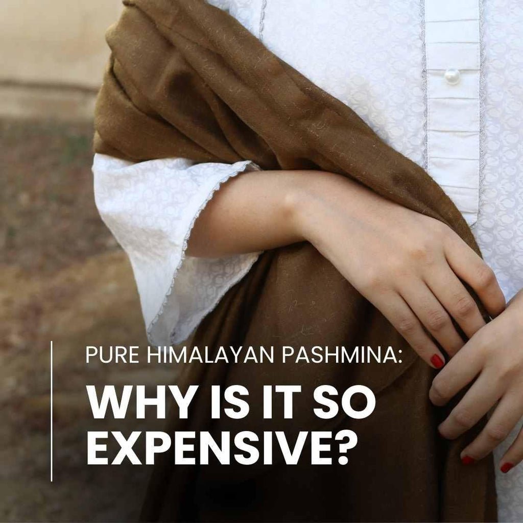 Why is a Pure Pashmina So Expensive?